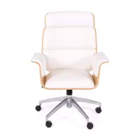 Bureaustoel Executive - Bureaustoelen - Mobelarium