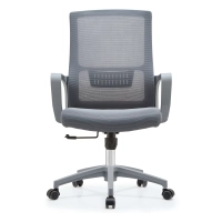 Sedia da Ufficio Mesh Ergo Lowback Premium Edition in Rete Traspirante